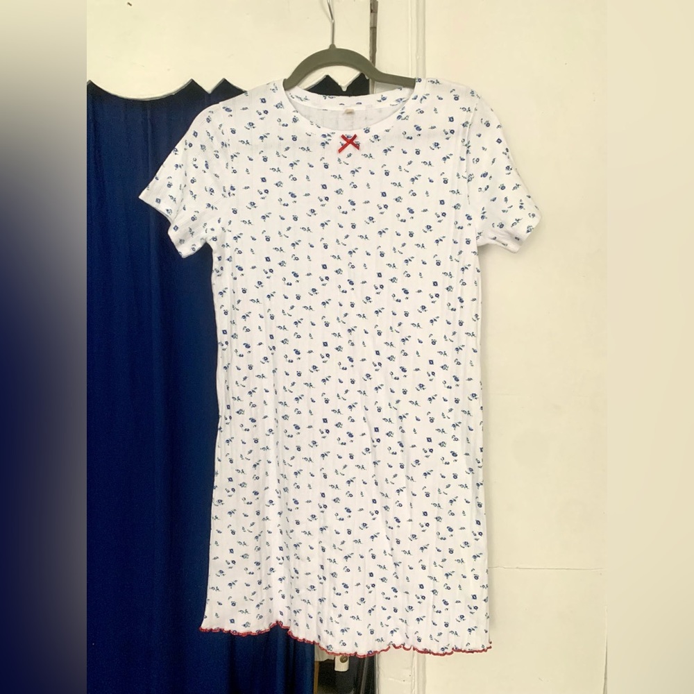 Rachel Antonoff Fitz Dress in Blue Floral